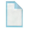 thumbnail image 2 of HALYARD Premium Disposable Underpads, 23 X 36 Inches Chux Pads - Light Blue, Pack of 50 - Incontinence Bed Pads for Adults with Airlaid Core for Moisture and Odor Control, 2 of 5