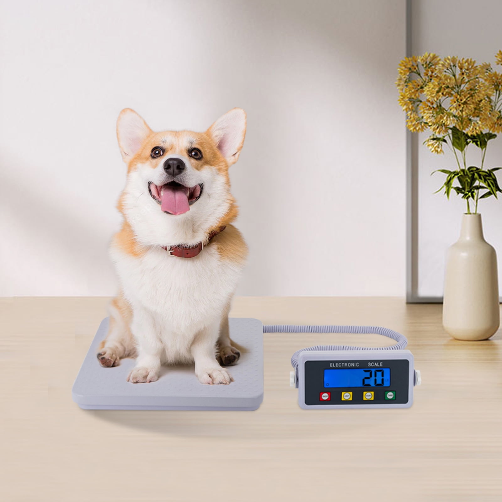 300kg/661.39lbs Medical Floor Scale with LCD Display, TARE Function, Durable ABS Construction, for Home, Gym, Clinic Use