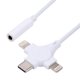 thumbnail image 3 of Dual 8 Pin+USB-C/Type-C Male to 3.5mm Female Adapter Cable, 3 of 4