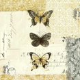 thumbnail image 3 of Pertiet, Katie 12x12 Black Modern Framed Museum Art Print Titled - Golden Bees n Butterflies No 2, 3 of 5