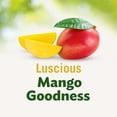 thumbnail image 5 of (6 pack) Del Monte Diced Mango Fruit Cup Snacks in 100% Fruit Juice, 4 oz Cup (Pack of 4), 5 of 8