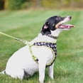 thumbnail image 2 of Arnés para perros, cinta costera, malla transpirable, ajustable, 2 of 8