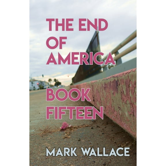 The End of America, Book Fifteen, (Paperback)