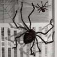 thumbnail image 6 of 35.43in Halloween Furry Spiders Decorations Mid-Large Fake Spider Realistic, Spiders Halloween Decorations Scary Decor Piece for Trick-or-Treat Event & Home Haunted Setup, 6 of 6