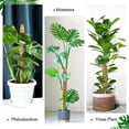 thumbnail image 6 of 2Pack Moss Pole, Bendable Moss Pole for Plants Monstera - 48 Inch Moss Poles for Climbing Plants Monstera, Plant Stakes for Indoor, Handmade Coco Coir Monstera Plant Support for Plants Grow Upward, 6 of 8