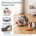 thumbnail image 4 of JWGIETK 4-Pack Stainless Steel Cat Food Bowls, Shallow Whisker-Friendly Dishes with Non-Slip Silicone Base, 4 of 6