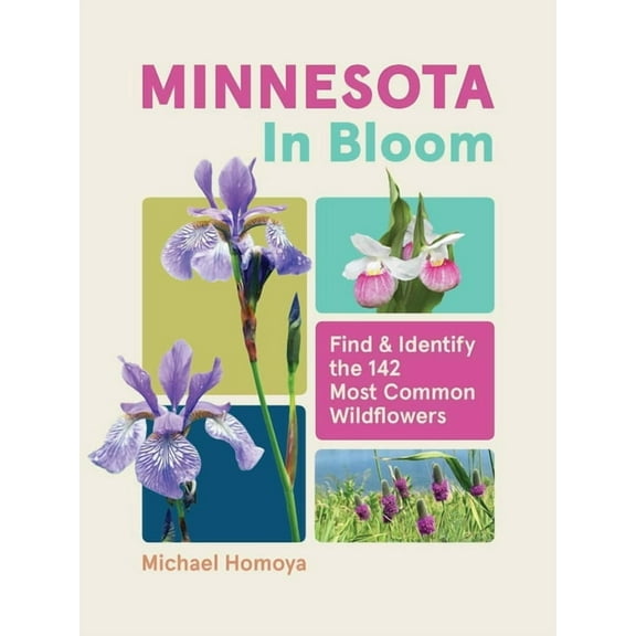 In Bloom Minnesota in Bloom: Find and Identify the 142 Most Common Wildflowers, (Paperback)
