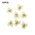 thumbnail image 4 of Cateissary 12 Uds. Artesanía de flores secas multipropósito estilo Simple hacer accesorios DIY flores prensadas artesanía joyería decoración Decoración del hogar Tipo 5, 4 of 6