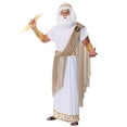 thumbnail image 2 of Plus Size Zeus Costume for Men, 2 of 4