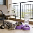 thumbnail image 6 of Cat Dog Feeding Bowl,Pet Feeders and Water Dispenser Removable Stainless Steel Bowl Dual-function Automatic Feeding Station for Cats Dogs, 6 of 6