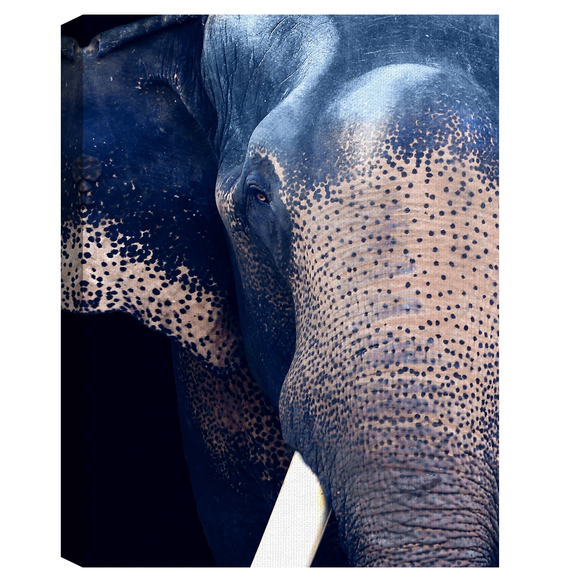 Masterpiece Art Gallery Titan The Elephant By Belle Maison Canvas Art Print 30" x 40"