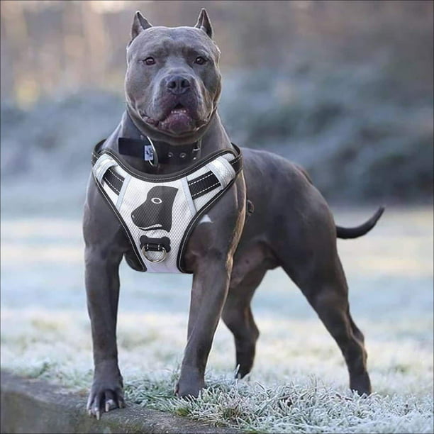 Babyltrl Big Dog Harness No Pull Anti Tear Astable Pet Harness Reflective Oxford Material Soft Vest For Medium Large Dogs Easy Control Harness Silver Walmart Com Walmart Com