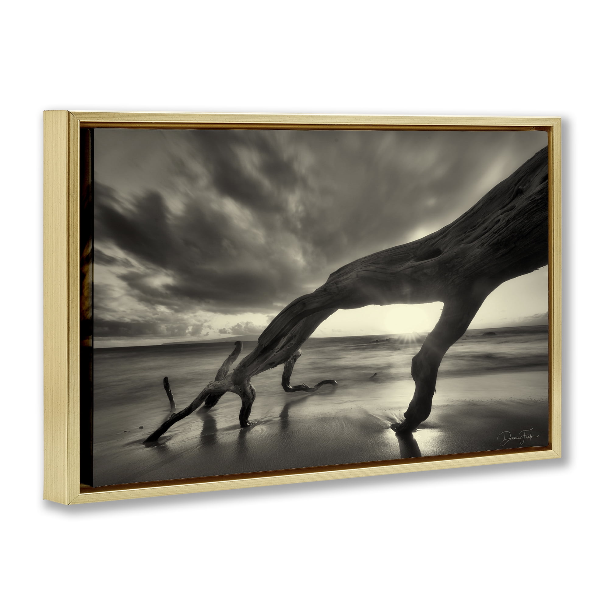 Stupell Industries Tree Trunk on Shore Landscape Photography Gold Floater Framed Canvas Art Print Wall Art, 25 x 17