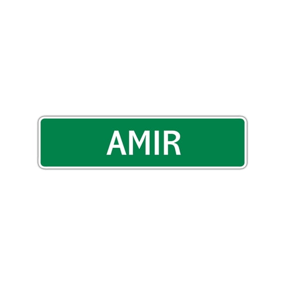 Amir Boys Children Name Indoor Outdoor Letter Printed Plaque Decoration Label Wall Novelty Aluminum Metal Sign 4"x13.5"