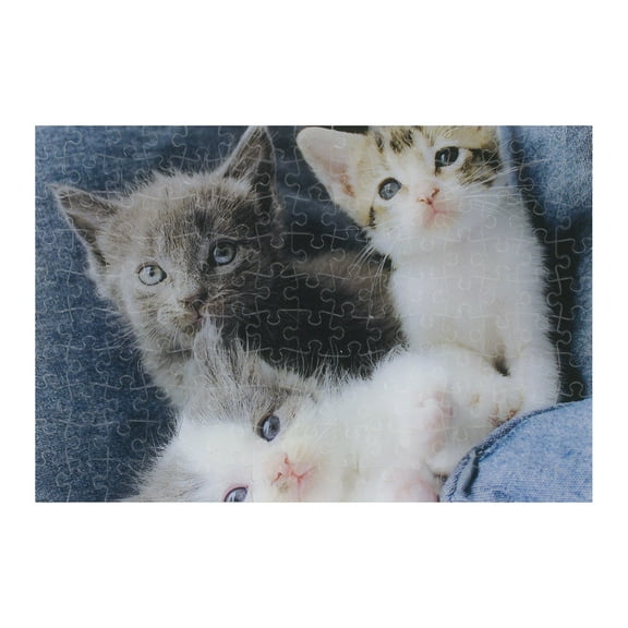 Three Kittens