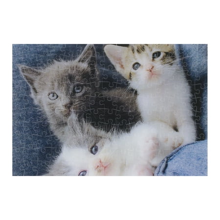 Three Kittens price history on PriceWatchPro