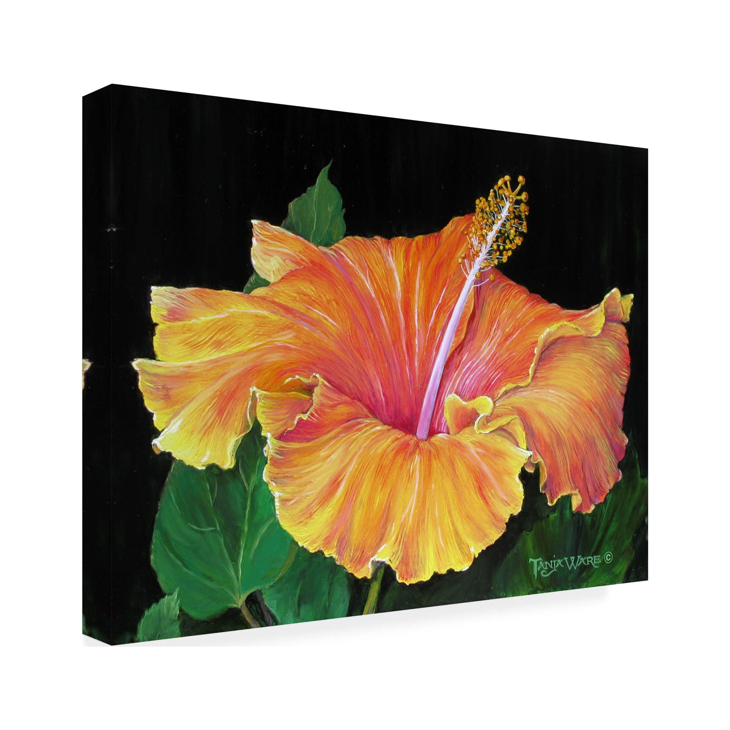 Tanja Ware 'Hibiscus' Canvas Art