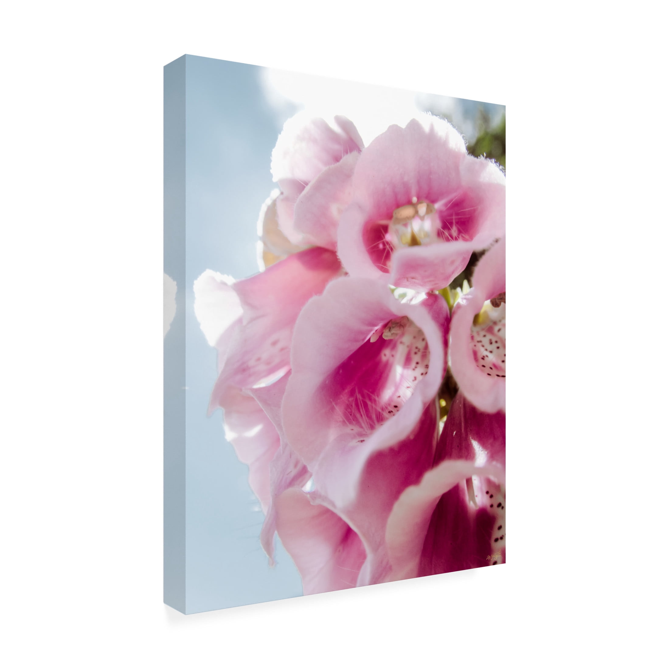 Canvas Wall Art - Life BeautifuLEE 'Pink Wedding Bell Florals' Wall Art for Living Room, Bedroom, or Office Décor by Trademark Fine Art - 35 x 47 Inches