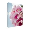 thumbnail image 4 of Canvas Wall Art - Life BeautifuLEE 'Pink Wedding Bell Florals' Wall Art for Living Room, Bedroom, or Office Décor by Trademark Fine Art - 14 x 19 Inches, 4 of 4
