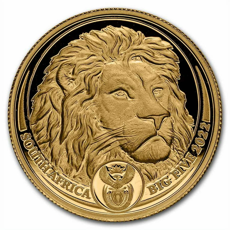 2022 South Africa 2-Coin Gold Big Five Lion Proof Set - Walmart.com