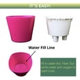 thumbnail image 2 of 3.5” Aquaphoric Self -Watering Mini Planter- 3 Pack (Purple), 2 of 6