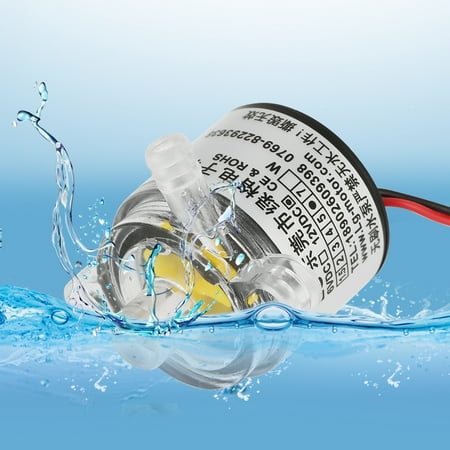 Food Grade Pump Lv. life 1pc Mini 12V DC 6W Food Grade Submersible Brushless Water Pump 2L/min,Pump, Submersible Pump ()