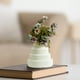 thumbnail image 5 of Jarrón de imitación de plástico esmaltado, arreglo floral para sala de estar, decoración de mueble de TV, decoración de flores secas, maceta, utensilio para flores, 5 of 6