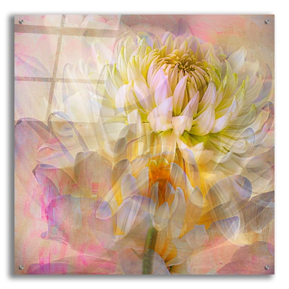 Epic Art 'Cotton Candy' by Pamela Plummer, Acrylic Glass Wall Art, 36"x36"