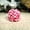 Pink, variant on Pet Cotton Rope Ball Toy - Handmade Braided Chew Toy for Dogs, Dental Cleaning & Interactive Fetch Play, Medium 7cm
