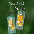 thumbnail image 4 of Herbal Essences Honey Daily Moisture Sulfate Free Conditioner, 20.2 fl oz, 4 of 11