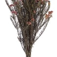 thumbnail image 4 of Vickerman 16" Purple Orchid Rice Flower. Comes in a 4.25 oz Bundle. Preserved, 4 of 4
