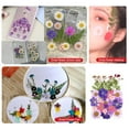 thumbnail image 3 of Conjunto de flores secas Bearachild Tipo 14, 3 of 6