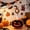 Black B, variant on AuroraX Halloween Desk Goose Clothes Sets 7" Desk Goose Outfits Holiday Sets Orange Black Handmade Pumpkin Outfit Desktop Goose Accessories