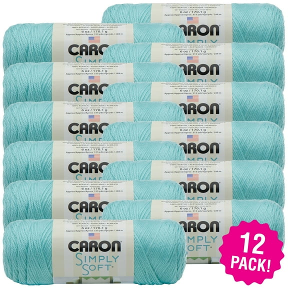Caron Simply Soft Solids Yarn - Robin's Egg, Multipack of 12