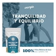 thumbnail image 4 of NAIMA Hongo Melena de León en Polvo, 100 g | Hongo Adaptógeno 100% Natural | Suplemento Vegano con Nutrientes Esenciales | Energía, Concentración y Memoria, Bienestar General, 4 of 8
