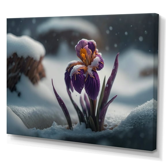 Designart A Blooming Purple Iris Flower In Winter Canvas Wall Art