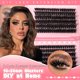thumbnail image 3 of Kit de extensión de pestañas Eefofnn Full Lash 240 piezas 80D+100D D-Curly, 3 of 7