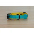 thumbnail image 5 of Collier pour Chien. Collier pour Chien en Cuir Véritable Fait Main – Turquoise avec Doublure Intérieure Jaune, Boucle Réglable. Buddies Collars, 5 of 5