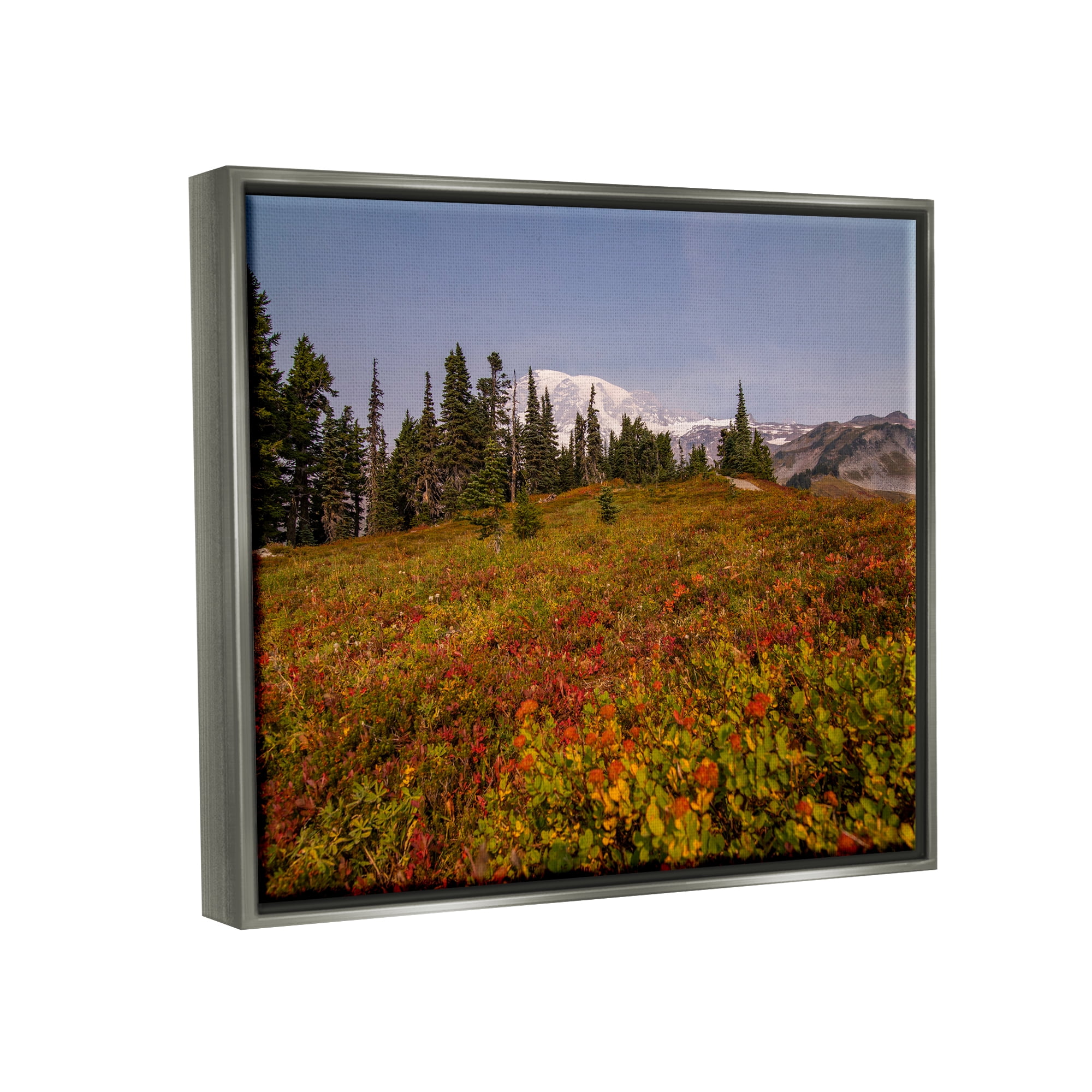 Stupell Industries Mountain Meadow Scenery Nature Photography Gray Floater Framed Art Print Wall Art, 21 x 17