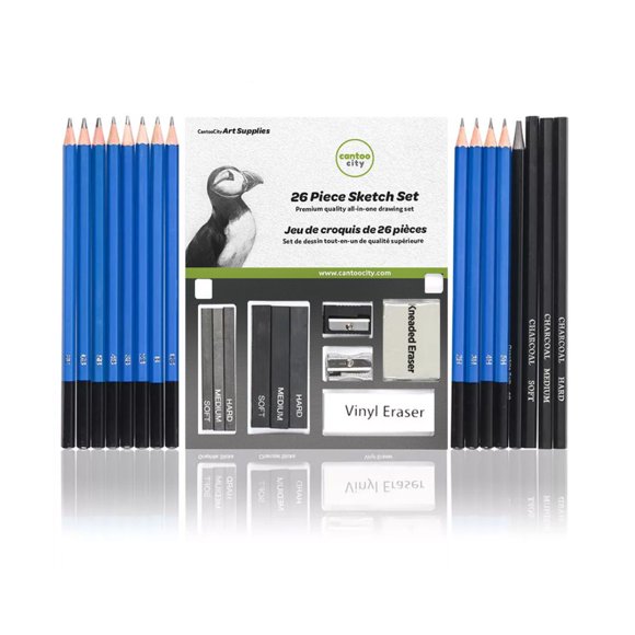 Cantoo City Kit de Dessin 26 Pcs, Tout-en-un pour Dessin Quotidien, Ensemble de Crayons et Bâtons de Charbon, Fournitures Artistiques pour Étudiants en Art, Éducateurs et Artistes