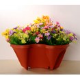 thumbnail image 3 of 2PCS Flower Pot Creative Petal Shape Planter Pot Gardening Pot for Plant, 3 of 10