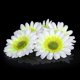 thumbnail image 2 of 10 piezas 3,15 "cabezas de seda de Margarita de gerbera artificiales  DIY-púrpura claro Colco none, 2 of 8