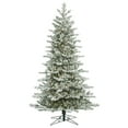 thumbnail image 1 of Vickerman 14' Frosted Eastern Fraser Fir Artificial Christmas Tree, Clear Dura-lit Lights, 1 of 4