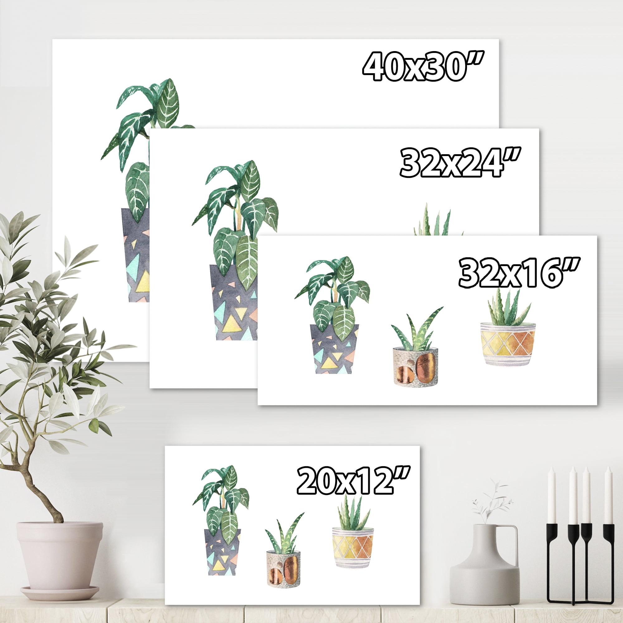 Designart ' Three Potted Houseplants On White ' Traditional Canvas Wall Art Print