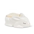 thumbnail image 1 of Set of 1 Sleeping Bunny Soap Dish, 1 of 1