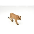 thumbnail image 6 of Puma, Cougar, Mountain Lion, Museum Quality Plastic Replica 5" M127-B648, 6 of 7