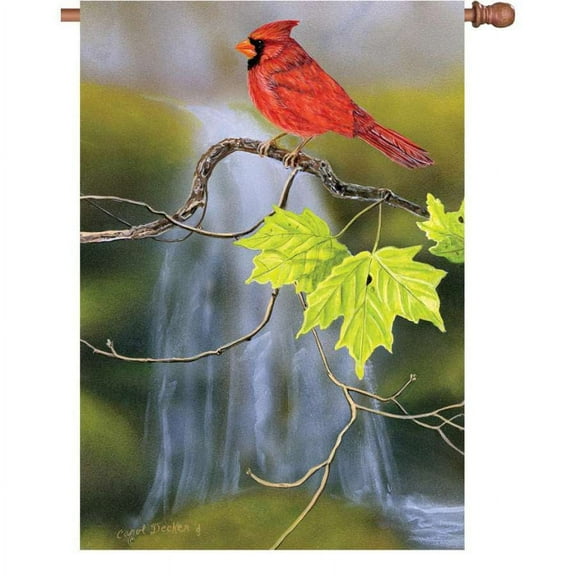 Premier Illuminated House Flag - Cardinal and Waterfall