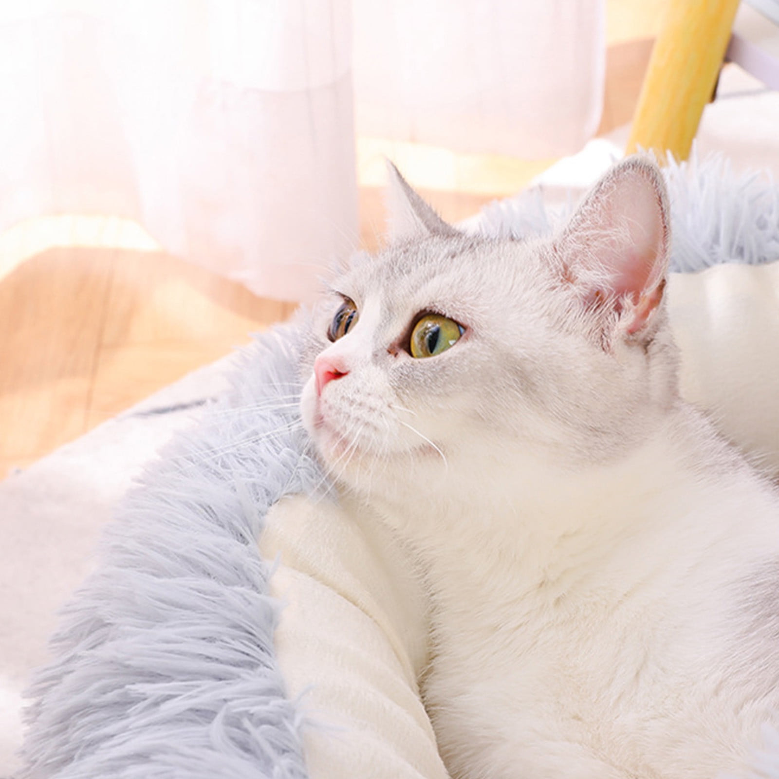 Cat Bed for Indoor Cats, Medium Large Cats Cave Bed, Machine Washable Slip Resistant Bottom, Ultra Soft Plush Cushion, Clearance