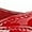 Red, variant on Domina-460, 6" Oxford Lace Up Polyurethane Shoes