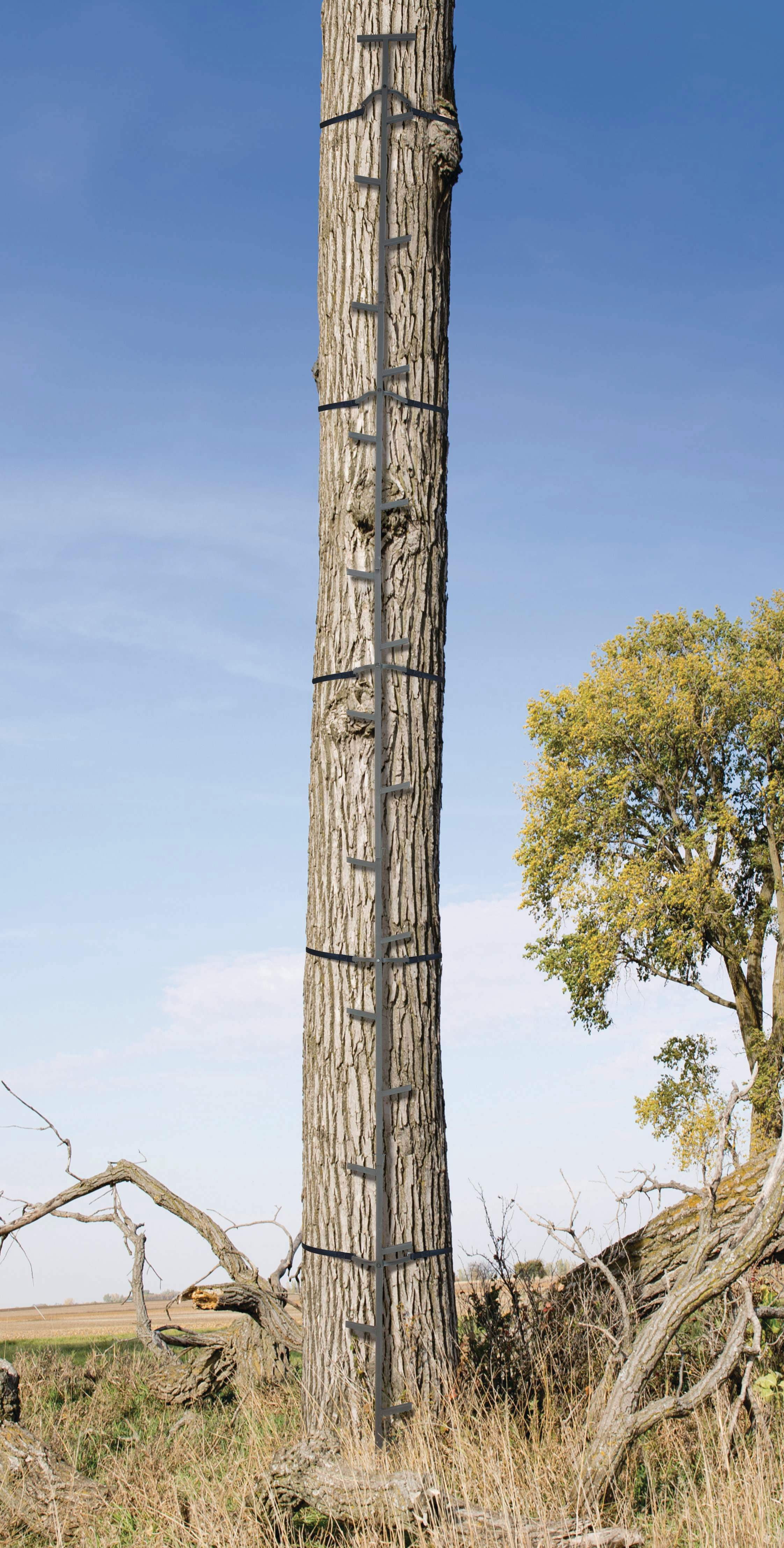 Muddy Quick-Stick Climbing System with 20ft Reach and Alternating Step Design